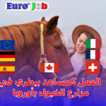 🐴 العمل كمساعد بيطري في مزارع الخيول بأوروبا: مهنة نادرة بطريق مفتوح نحو الإقامة